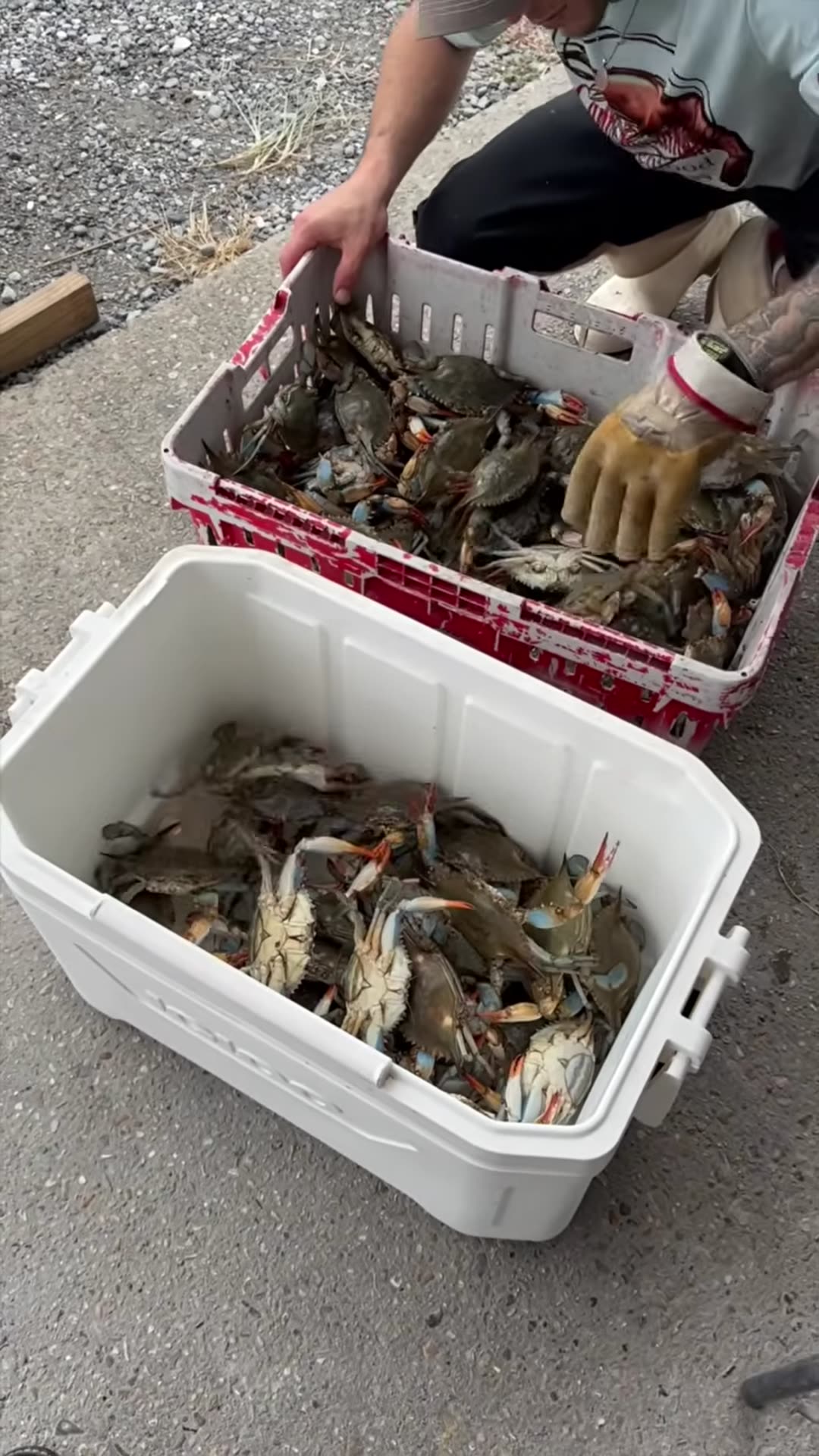 Video thumbnail for Chargrilled Blue Crabs   Might be my new favorite way to make crabs (720P HD)