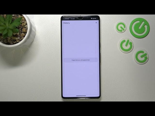Video thumbnail for How to Clear Browser on GOOGLE Pixel 7 Pro - Clear Browsing History