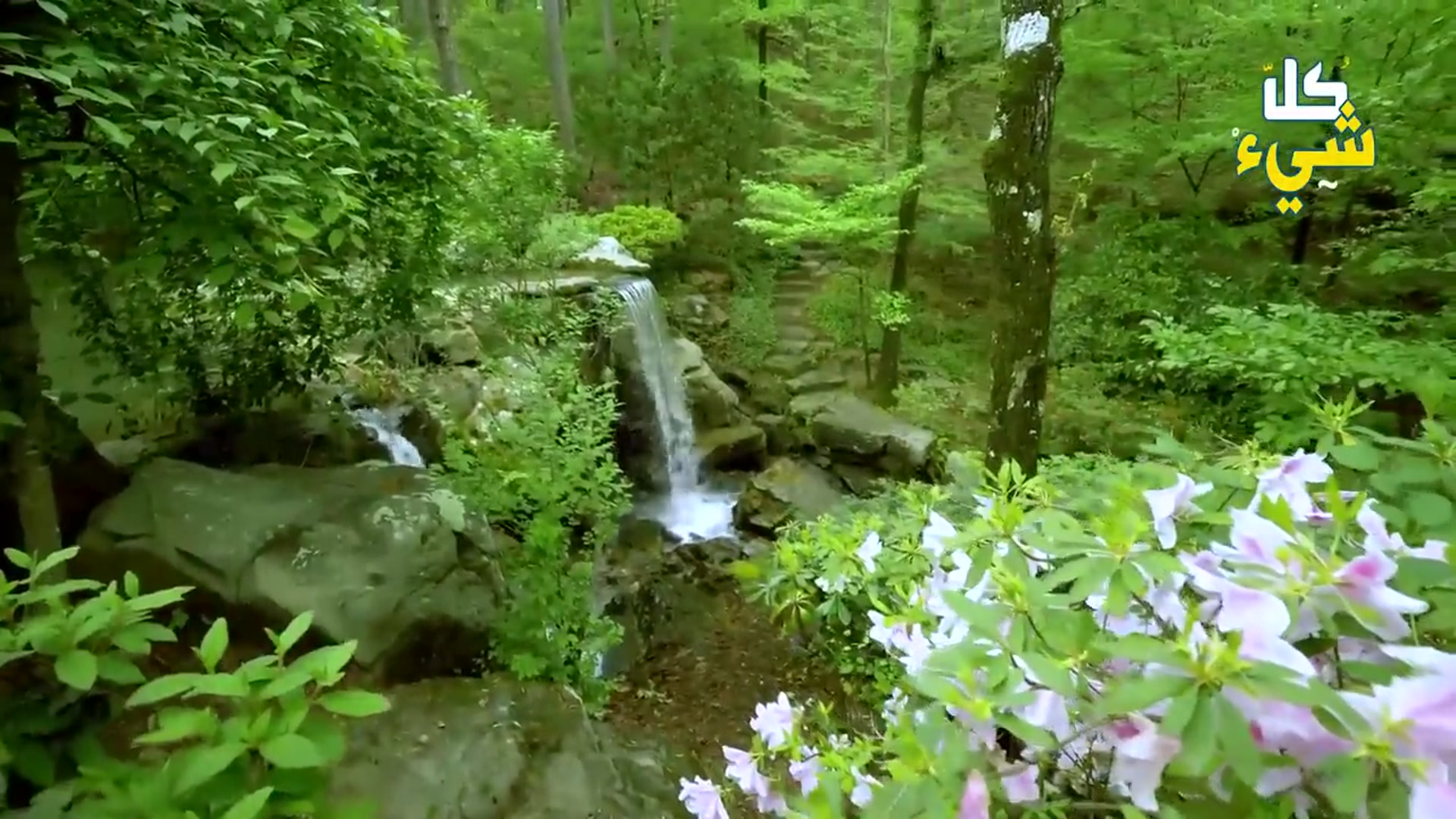 Video thumbnail for حياتنا في الجنة ستشبه حياتنا على الأرض؟ وكيف ستكون شكل الأيام في الجنة بإذن الله؟ سيرتجف قلبك_0p