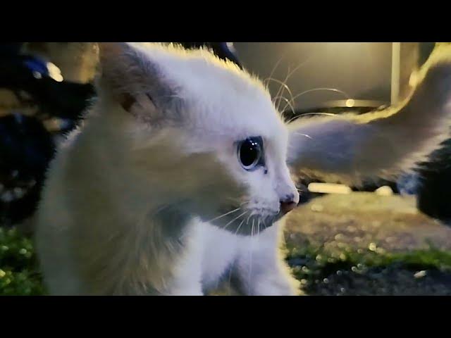 Video thumbnail for A boring Day