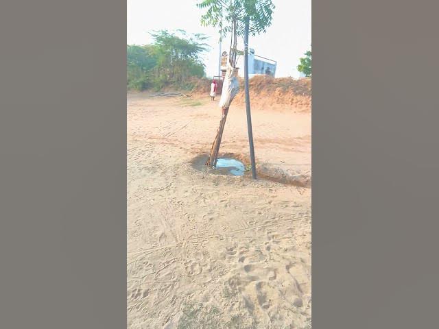 Video thumbnail for #love #nature #poetry #villagelife