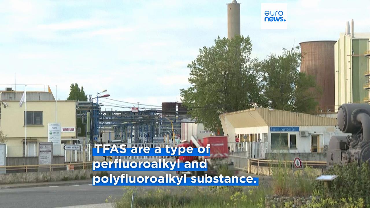 Video thumbnail for EU's food safety agency reduces safe daily intake level of 'forever chemical' TFA