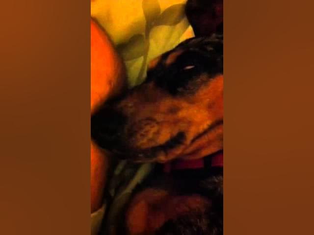 Video thumbnail for Snoring Norah