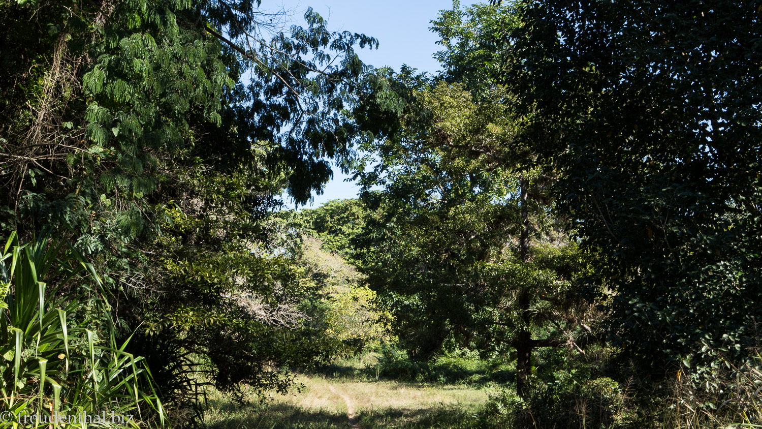'Video thumbnail for Jardín Botánico bei Cienfuegos | Kuba-Rundreise'