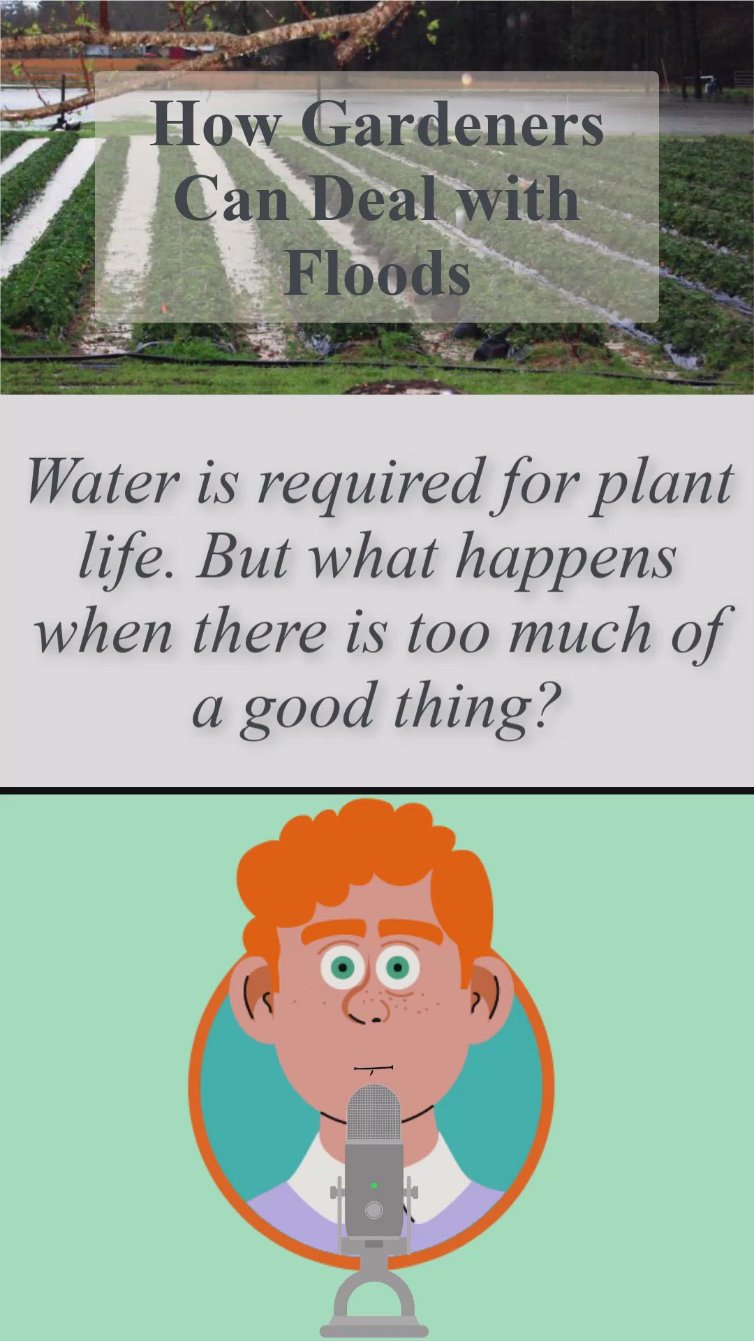 Video thumbnail for How Gardeners Can Deal with Floods