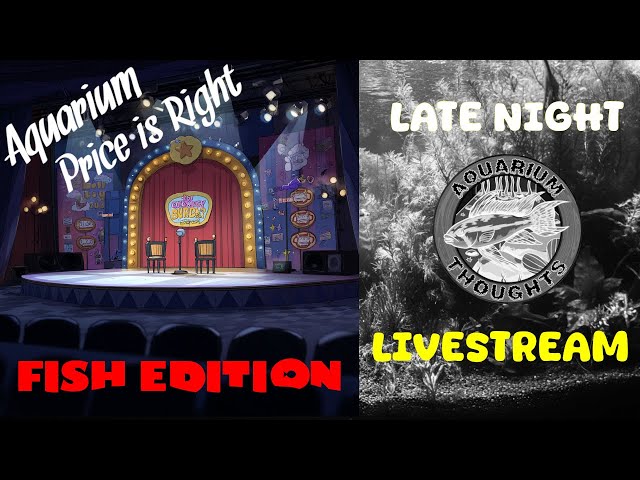Video thumbnail for Aquarium Price is Right (Fish Edition) - May 01, 2025 - Late Night Aquarium Thoughts