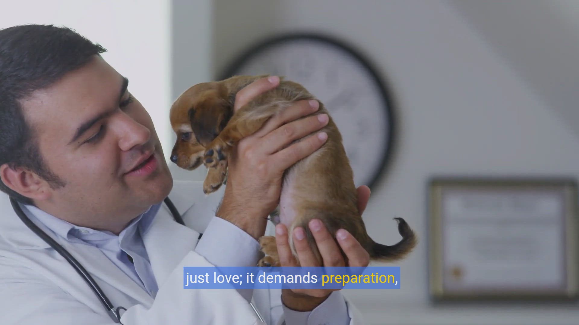 'Video thumbnail for Puppy Prep 101: Essential Supplies Every New Owner Needs'