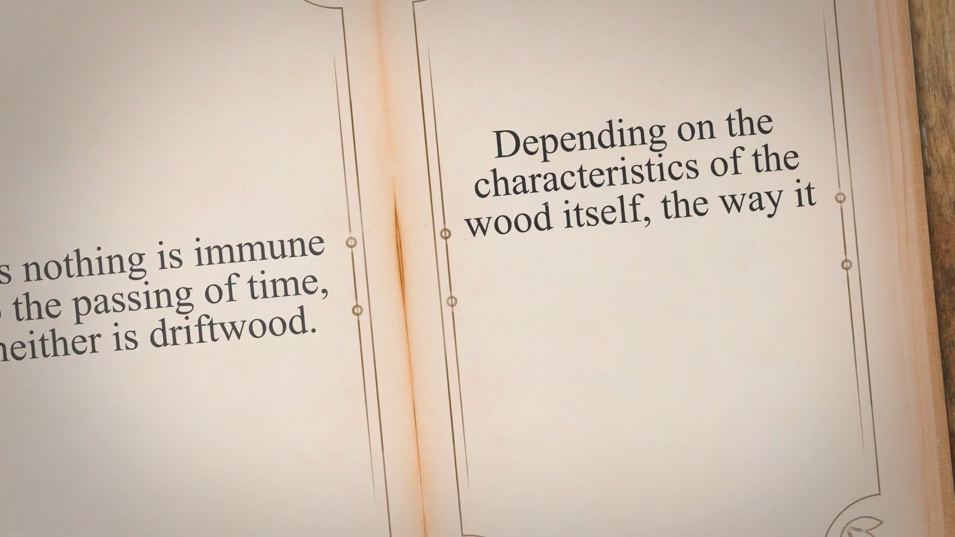 Video thumbnail for How To Keep Driftwood From Rotting: Tips and Tricks From The One’s Who Know