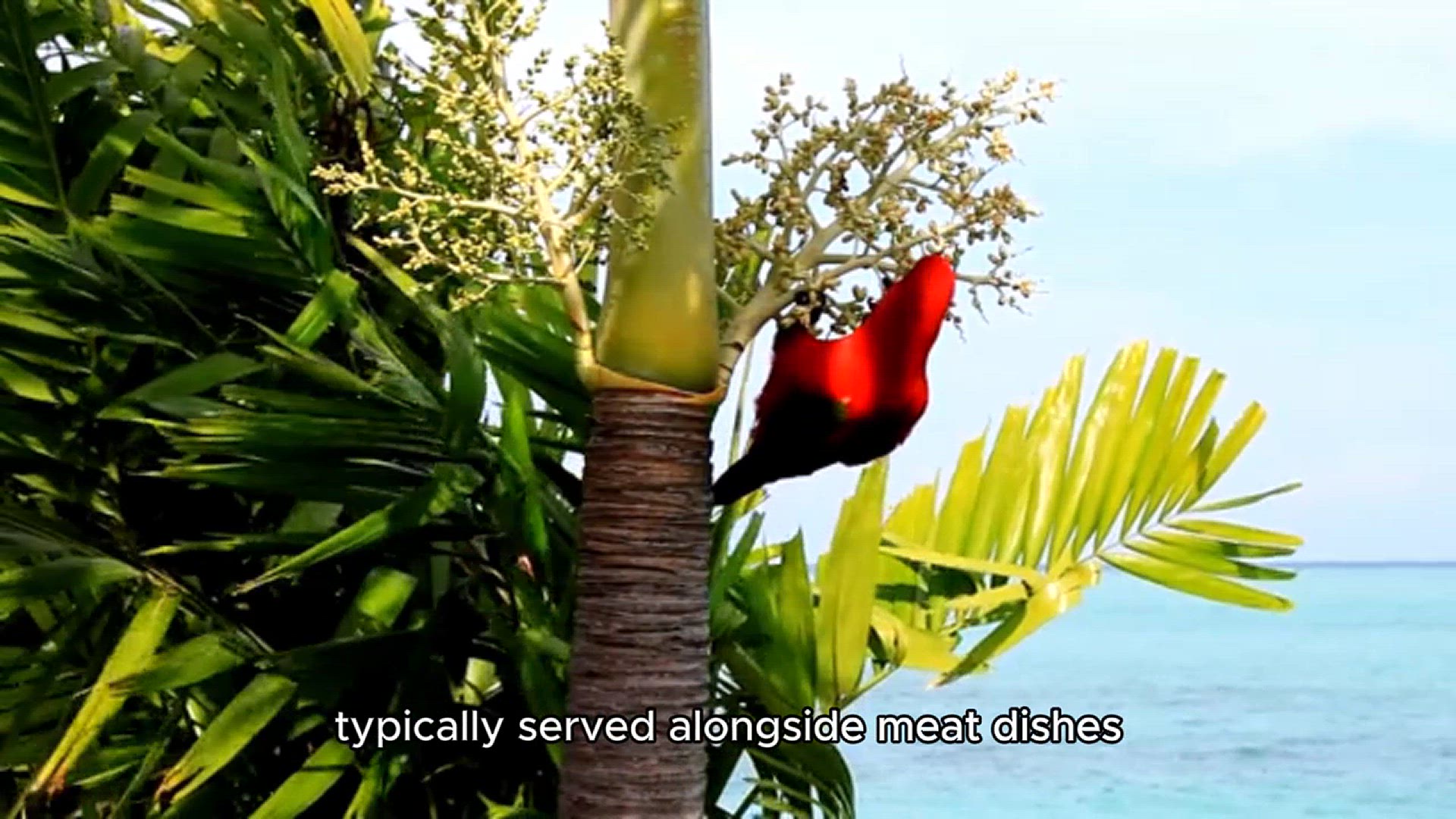 Video thumbnail for pikliz recipe