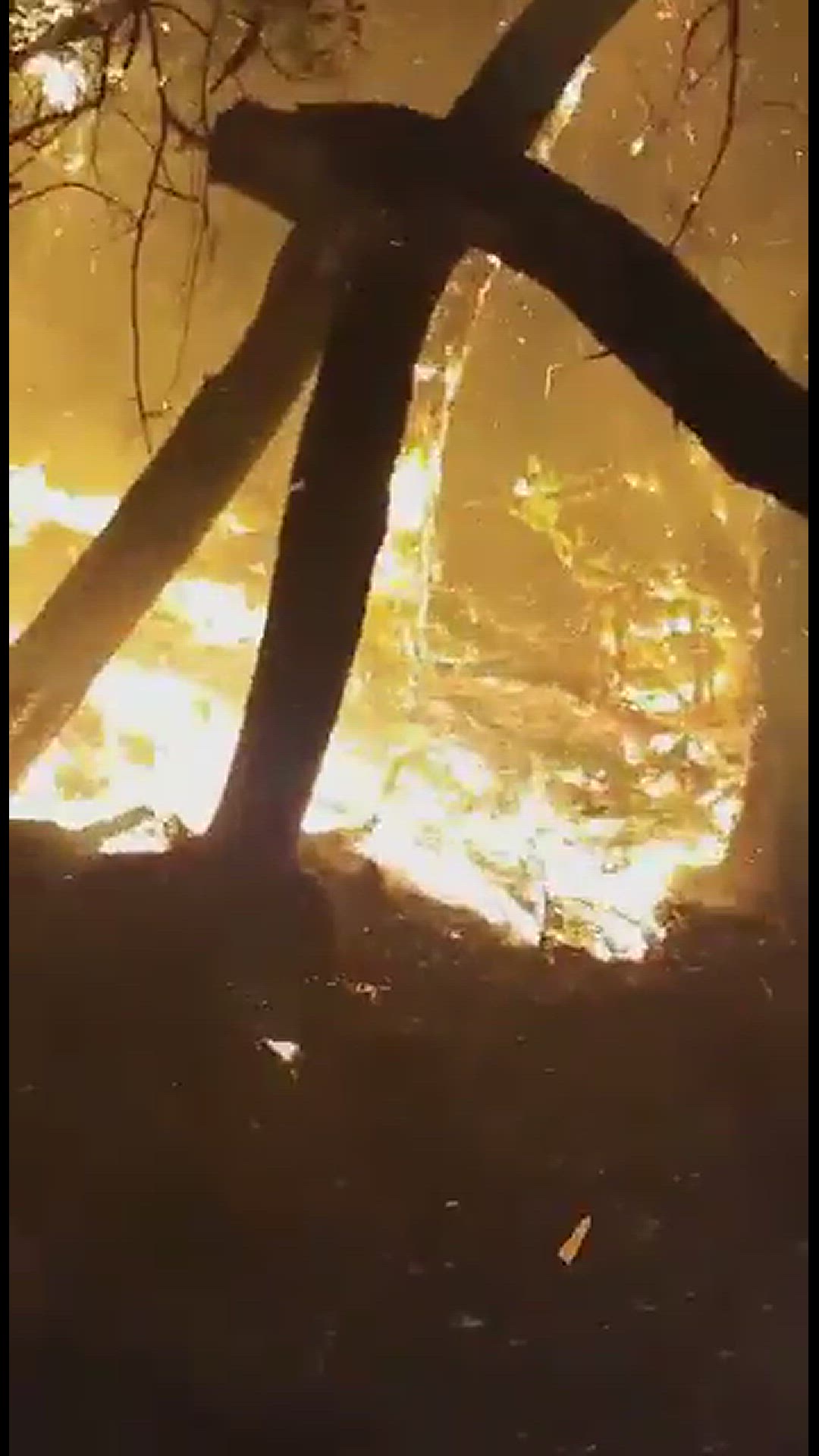 'Video thumbnail for Waldbrand La Gomera - August 2020'