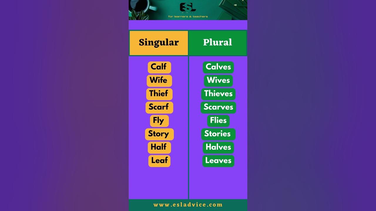 'Video thumbnail for Singular VS Plural Nouns || Part 3 || ESL Advice'