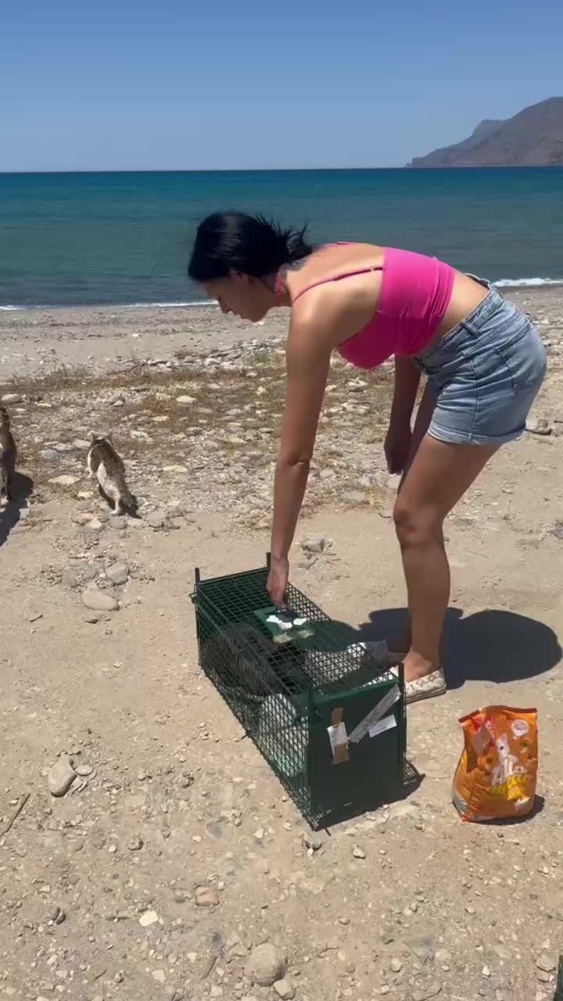 Video thumbnail for Seaside TNR Release for Beloved Greek Street Cats