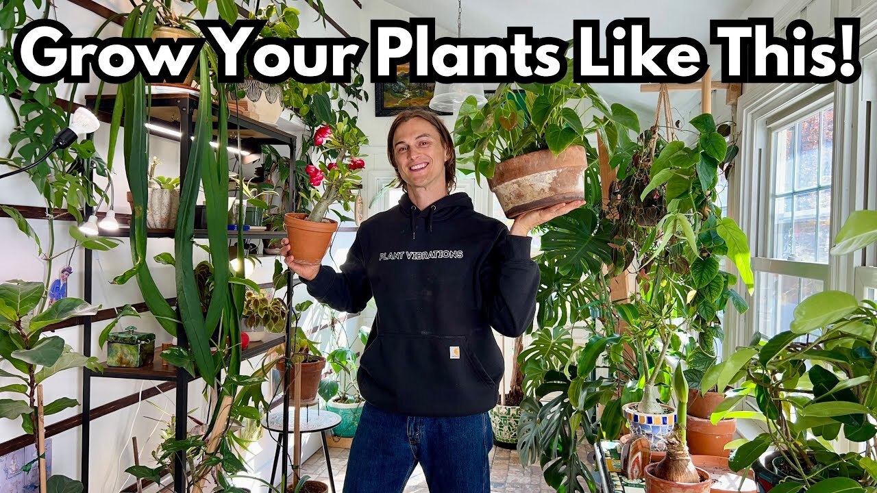 Video thumbnail for 12 Reasons my Indoor Plants look GREAT - Crash Course for Happy Houseplants