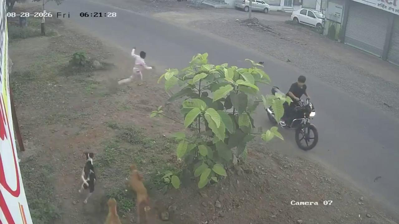 Video thumbnail for India: Pack of stray dogs attacks young child, residents raise concerns over child safety across city.