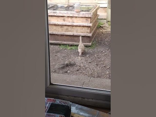 Video thumbnail for 25 May 2024