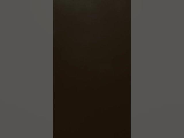 Video thumbnail for January 19, 2023