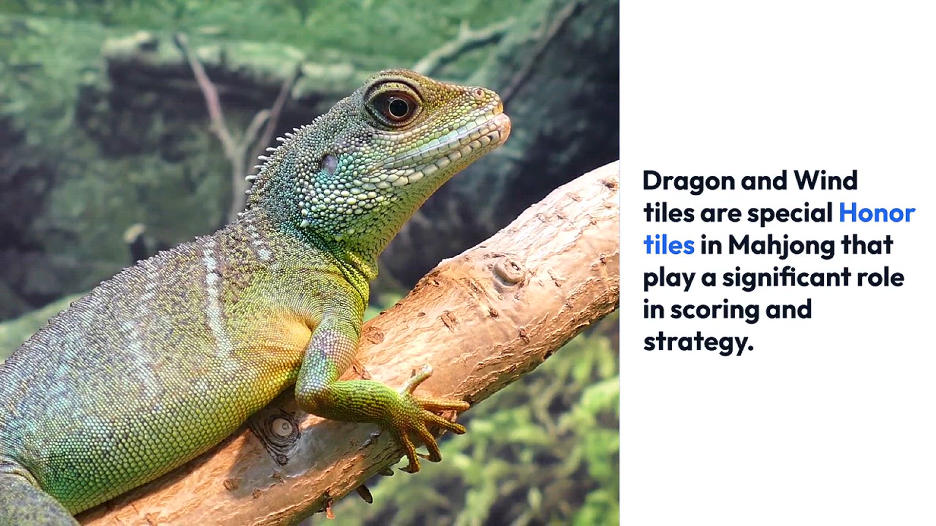 Video thumbnail for Mahjong Dragon And Wind Tiles