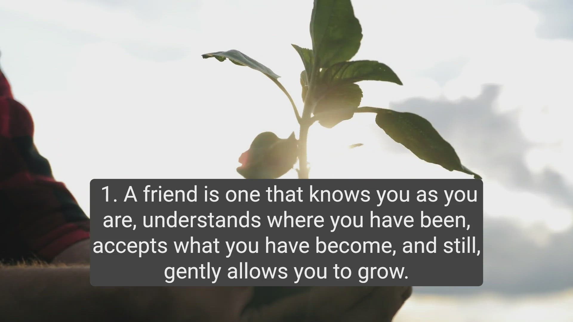 'Video thumbnail for Top 10 Shakespeare Quotes on Friendship - Timeless Wisdom Unveiled'
