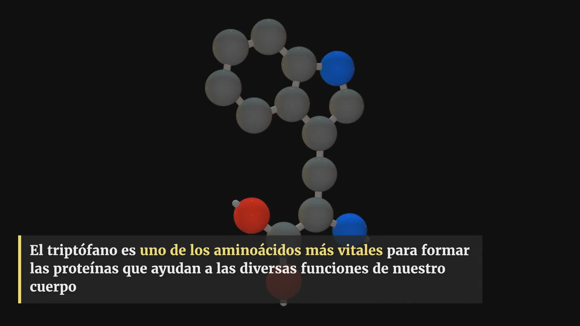 Video thumbnail for 10 Alimentos Ricos en TRIPTÓFANO ✅