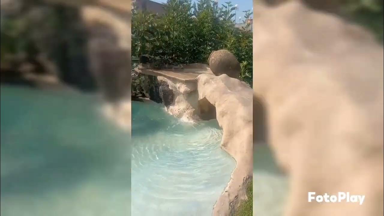 Video thumbnail for DIY Luxury Oasis with a Cash Box Pool#bilionaire #luxury #life