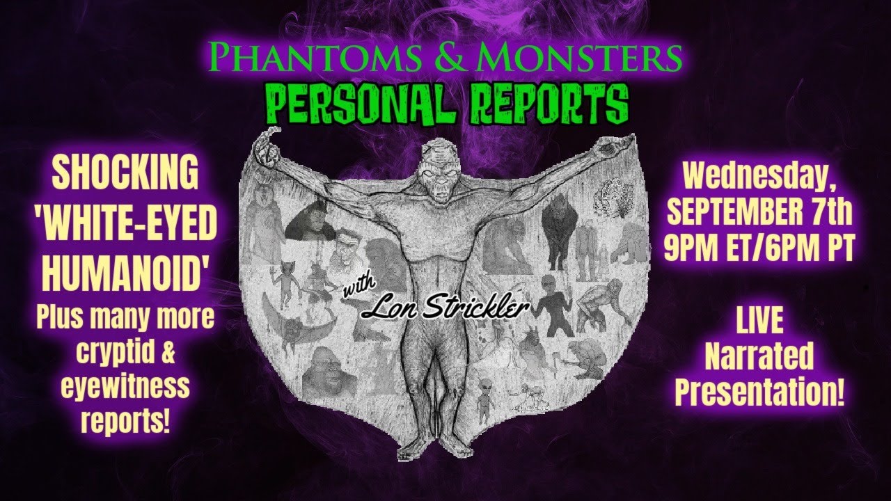 'Video thumbnail for SHOCKING 'WHITE-EYED HUMANOID' / PTEROSAUR ENCOUNTER / FAIRY - Lon Strickler (Host)'