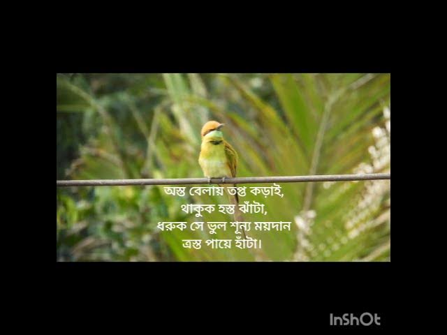 Video thumbnail for 8 October 2024