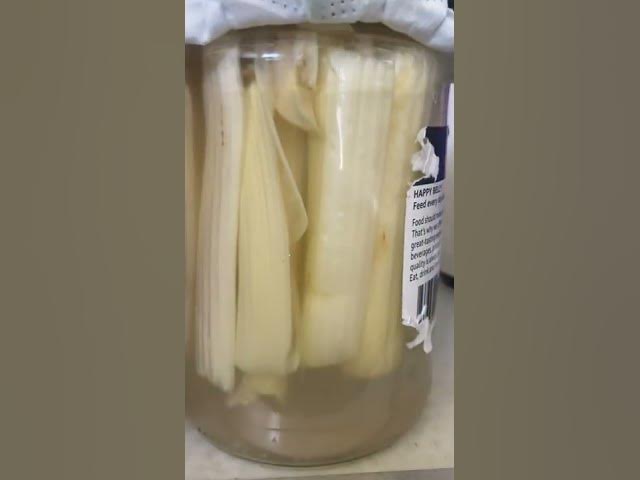 Video thumbnail for Quick pickles vs Fermented #pickles ? #kingofhashes