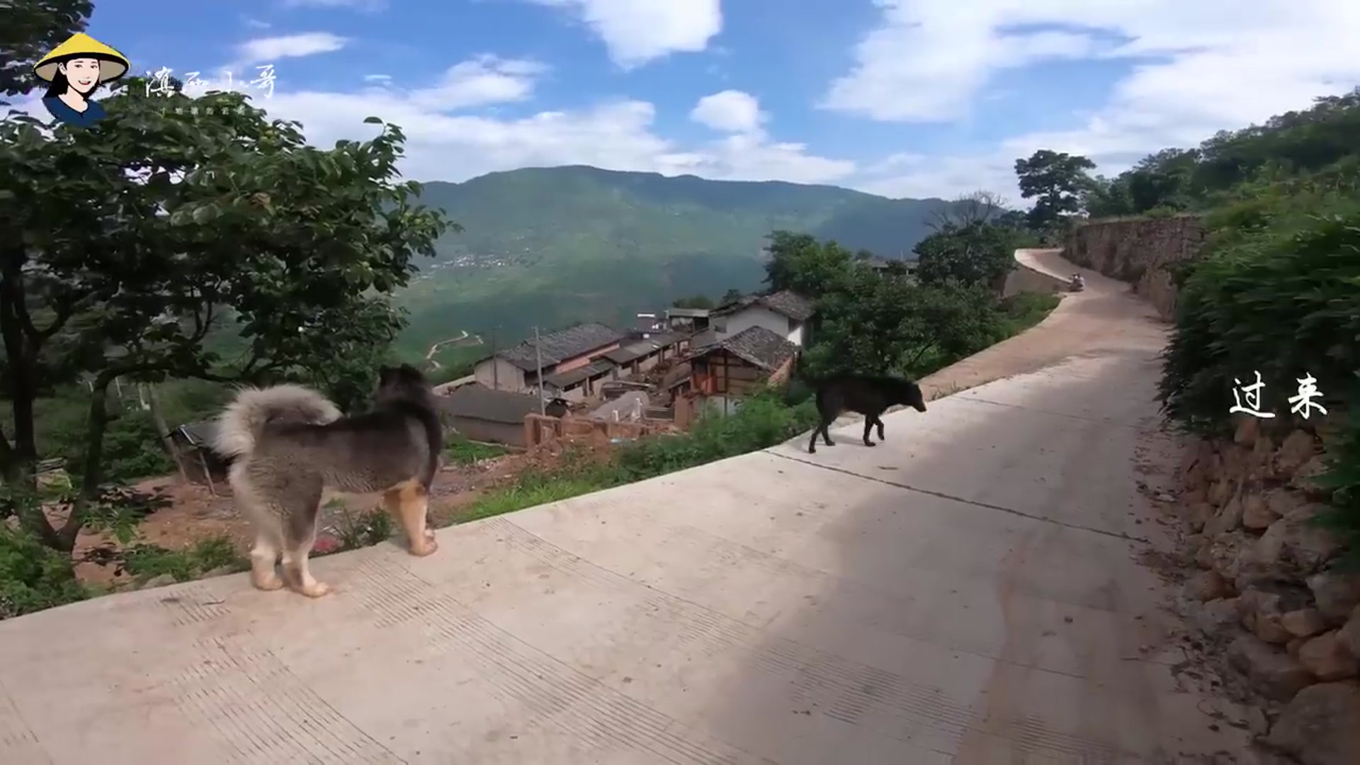 Video thumbnail for 云腿酥——火腿用来做糕点的经典美食【滇西小哥】 (720p 25fps)