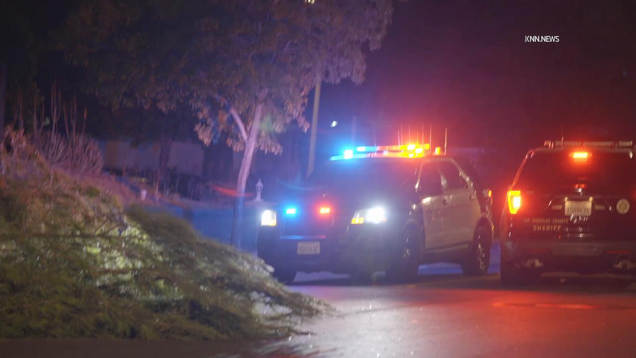 Video thumbnail for US, Los Angeles: Santa Clarita Fallen Tree Blocks Roadway.