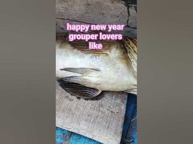 Video thumbnail for happy new year guys 2026