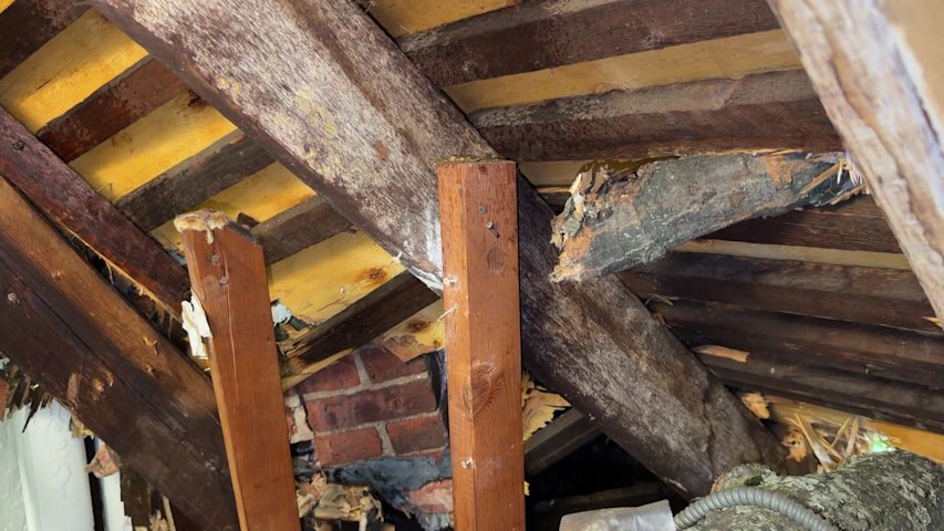 Video thumbnail for Tree still not removed from Mount Vernon home weeks after July 4 storm