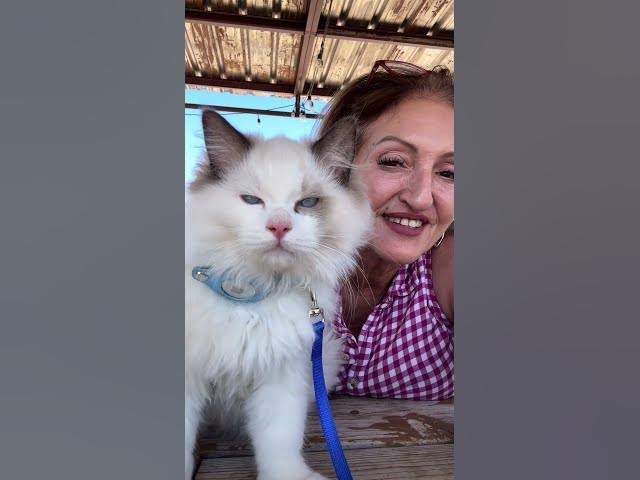 Video thumbnail for Ari getting used to the world around him. #tinypawsbigadventures