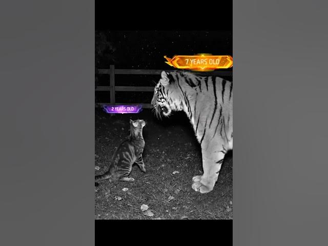 Video thumbnail for #latestharyanvisong2025 #menifestedit #freefireshorts