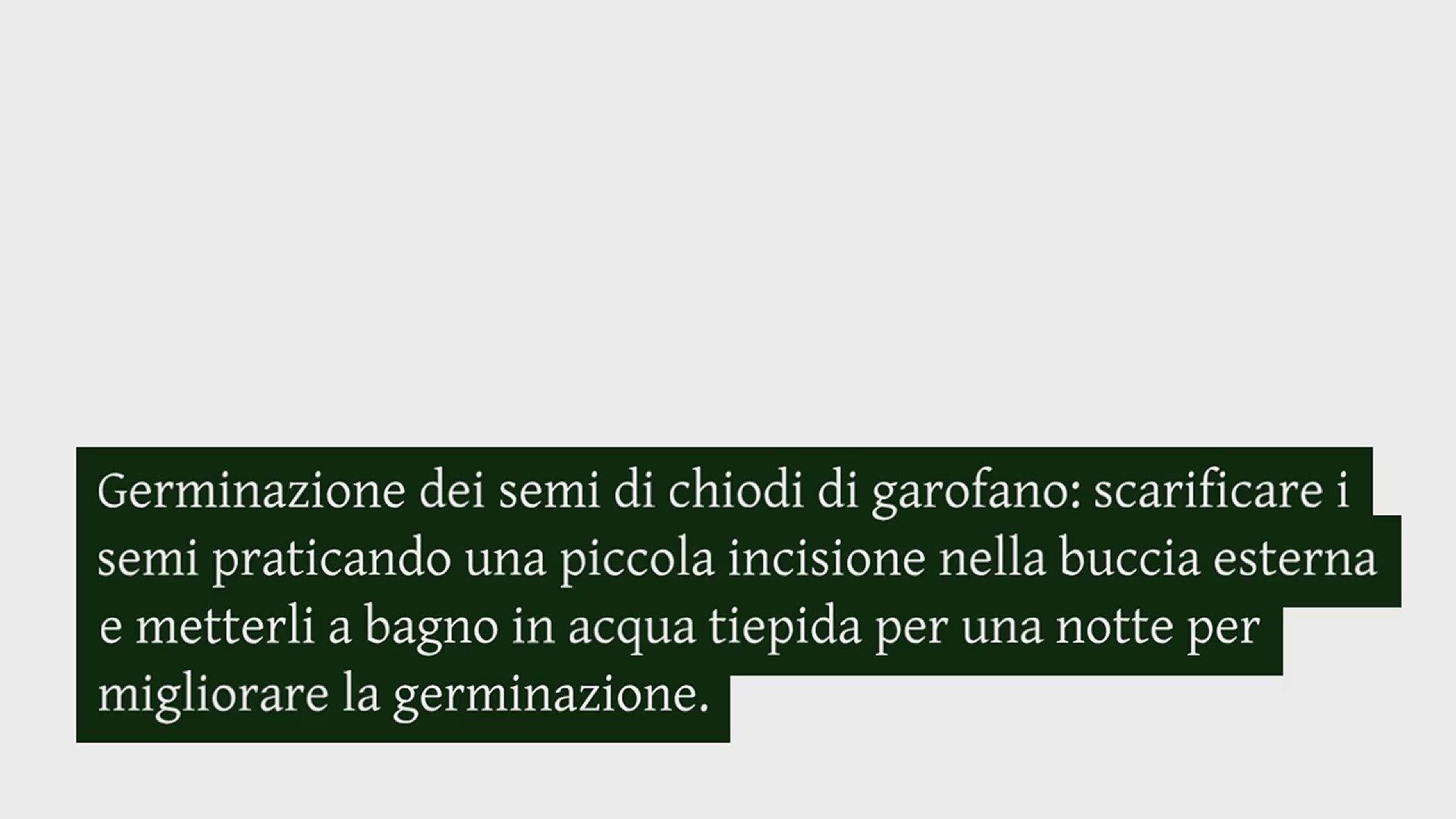 coltivazione-semplice-dei-chiodi-di-garofano-open-video
