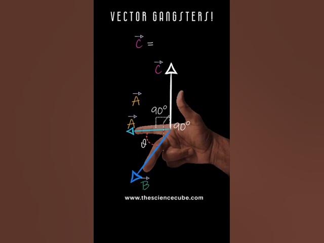 Video thumbnail for 24 May 2025