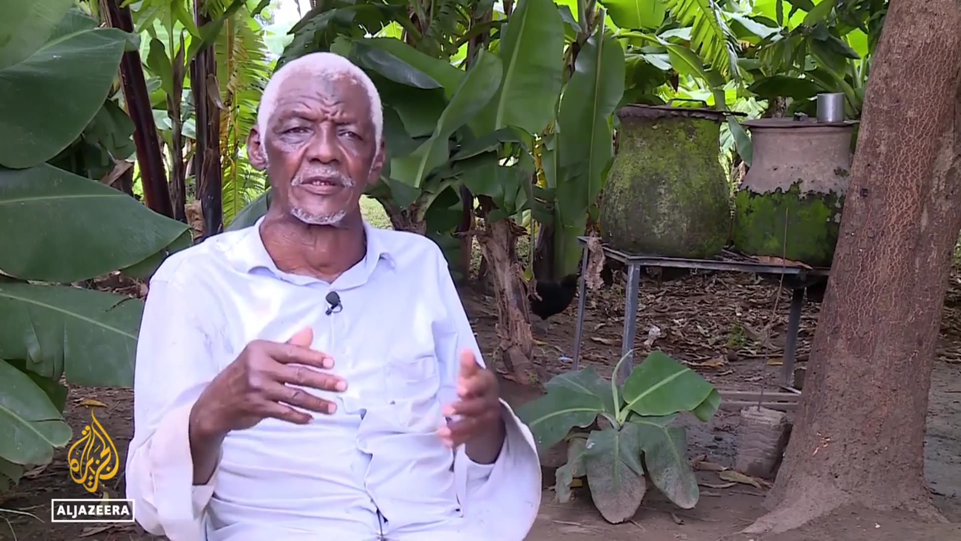 'Video thumbnail for Ethiopia's mega-project alters agriculture: Sudanese farmers adopt new cultivating practices'