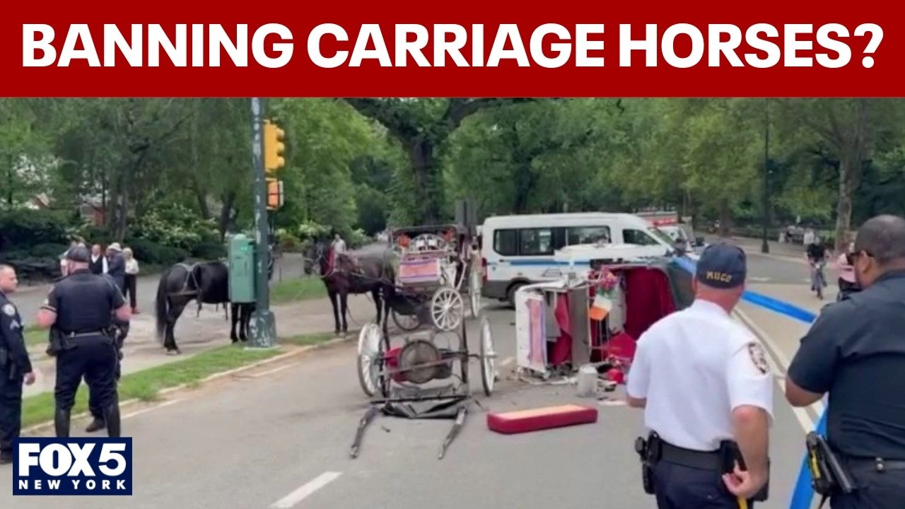 Video thumbnail for City Hall deciding whether to ban horse-drawn carriages