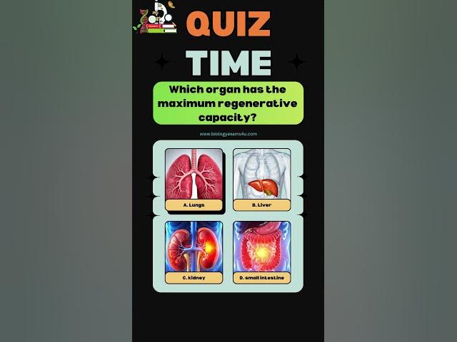 Video thumbnail for Which organ has the maximum regenerative capacity?