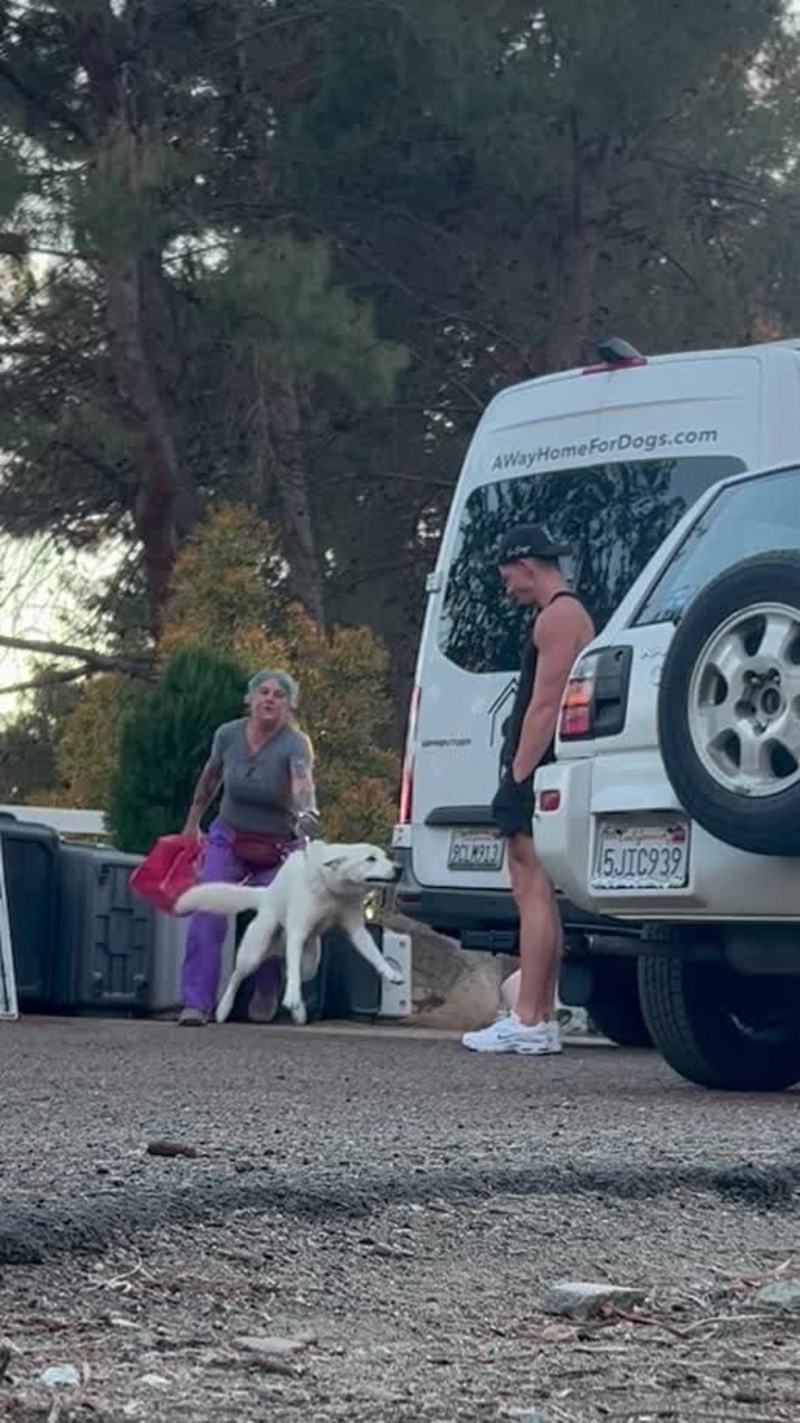 Video thumbnail for Dog Ghost Reunites with Owner after Time Apart