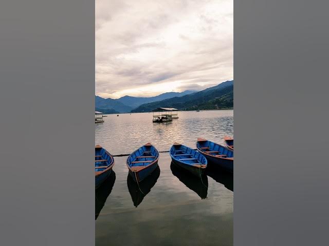 Video thumbnail for 🌊 Peaceful Fewa Lake | Pokhara’s Iconic Beauty 🇳🇵✨ #shrots
