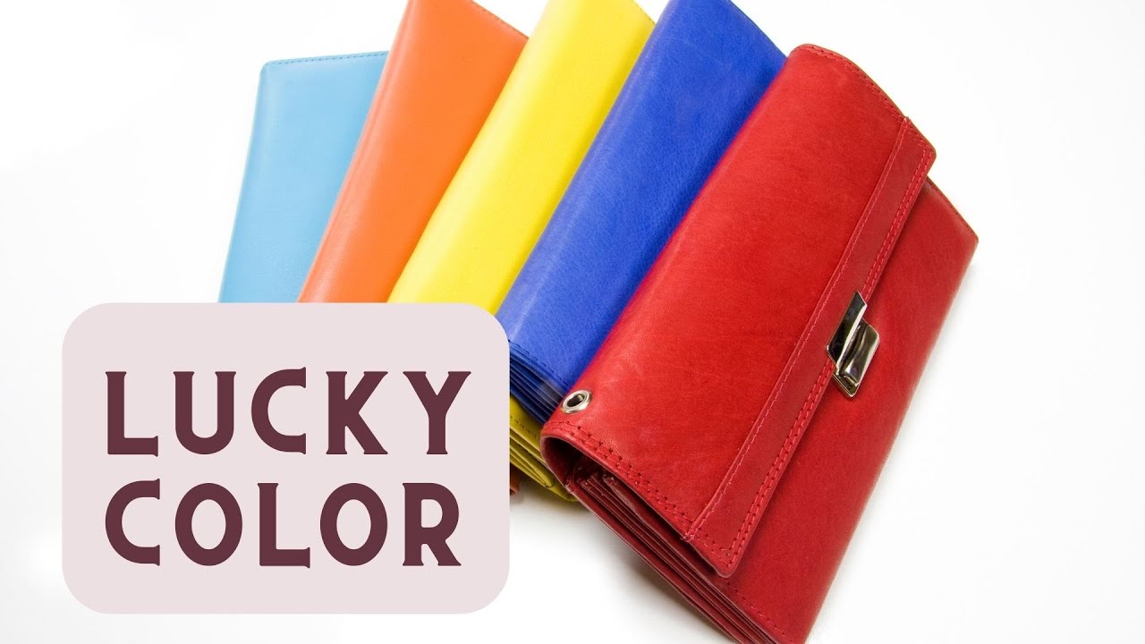 'Video thumbnail for Lucky color wallet 2024: video blog'