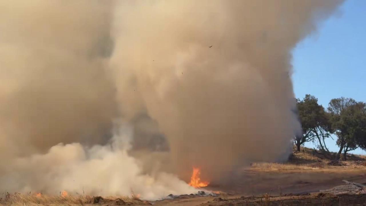 Video thumbnail for US: Fire Whirl Towers Over Flames During California Prescribed Burn.