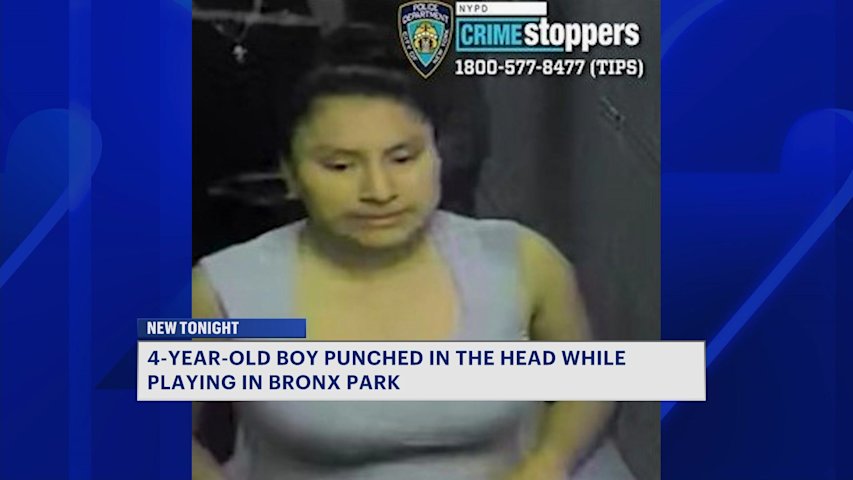 Video thumbnail for Bronx mother says police never showed up after 4-year-old son was allegedly punched at park