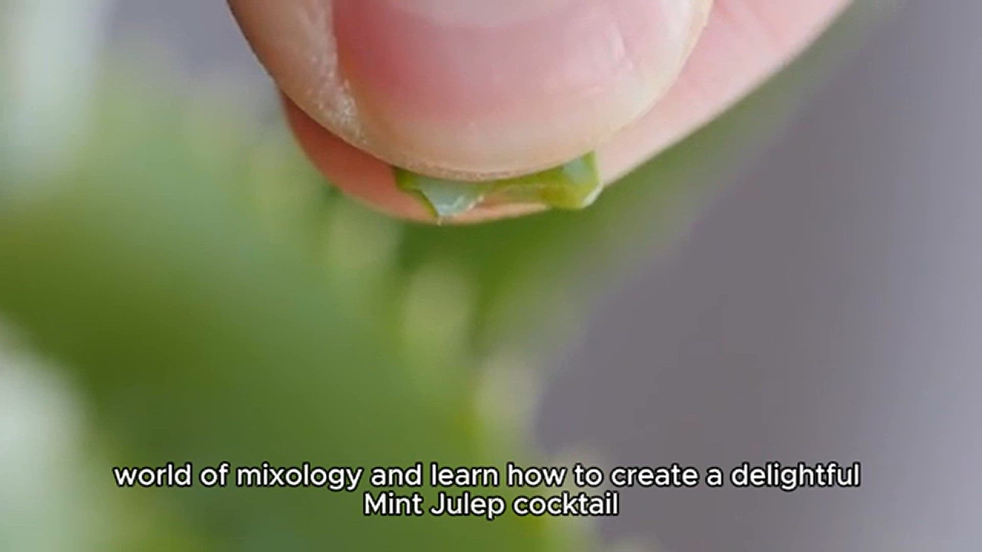 'Video thumbnail for Mint julep recipe'