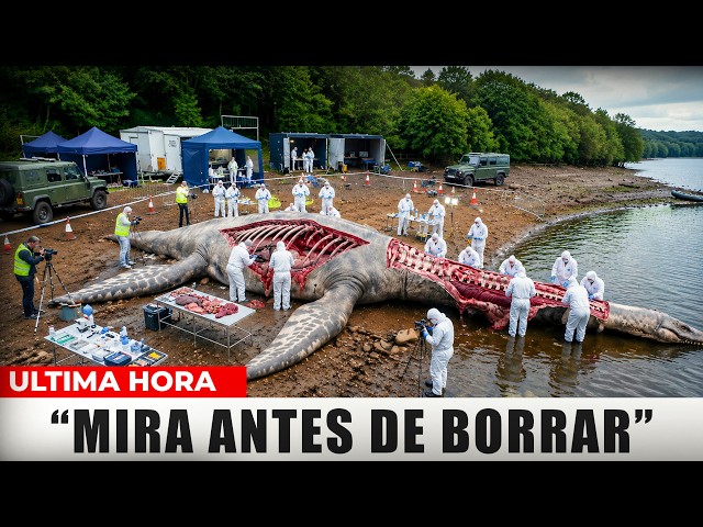 Video thumbnail for Científicos Resuelven el Misterio de Nessie Después de Décadas — ¡No Creerás la Verdad!