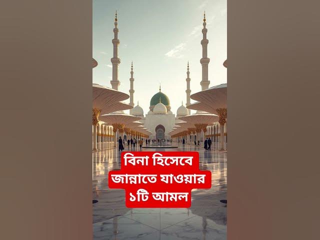 Video thumbnail for বিনা হিসেবে জান্নাতে যাওয়ার ১টি আমল#shorts #viral#sheikh_ahmadullah#islamicalortips