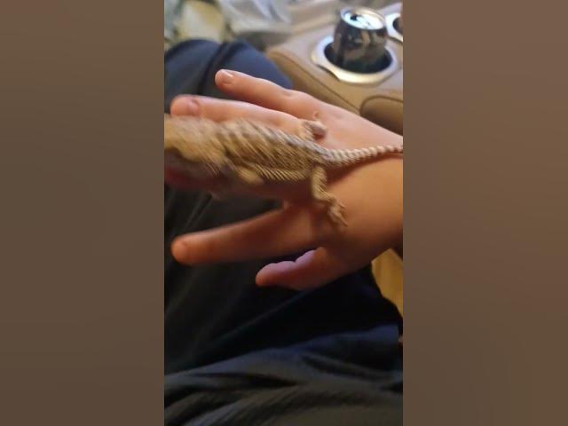 Video thumbnail for January 29, 2026