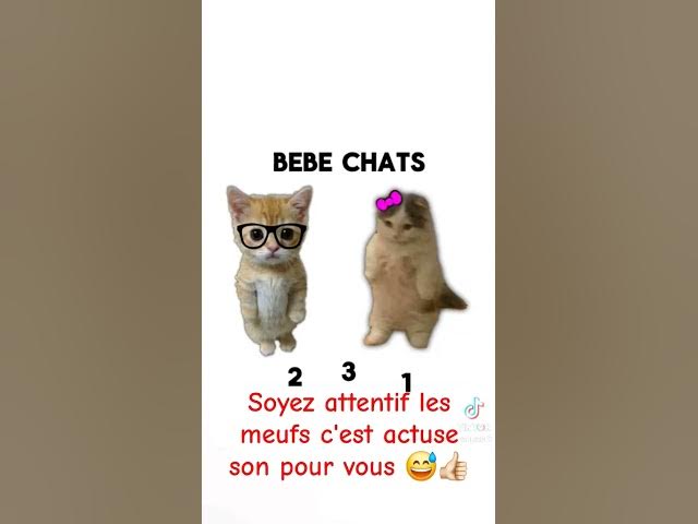 Video thumbnail for #chat #humour #drole #abonnetoi #blague actuse pour les meufs
