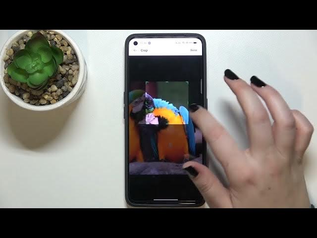 Video thumbnail for REALME GT Neo 2 - How To Add Photos To Contacts