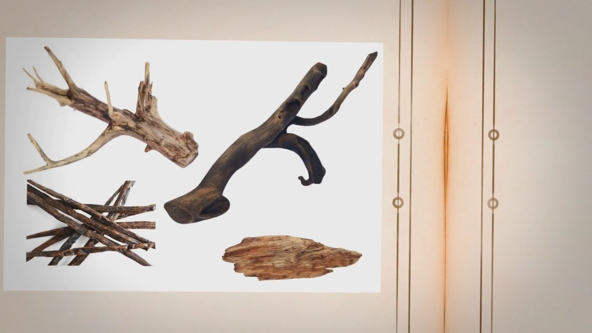 Video thumbnail for How to sell driftwood?